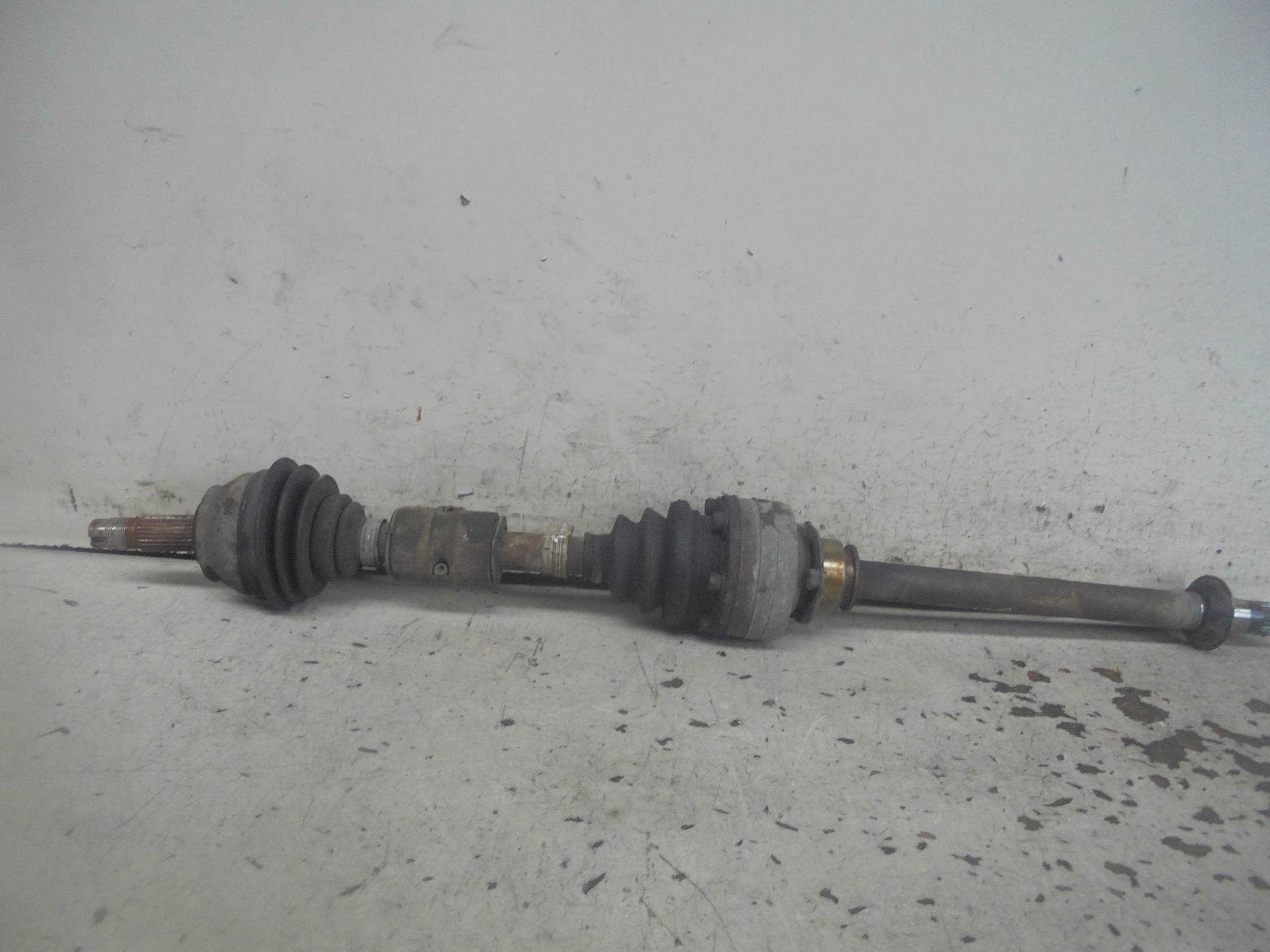 Semialbero ant. compl. dx.